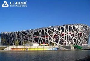 Bird's Nest