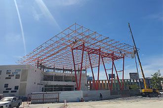 Large space frame processing plants explain which types of construction are mainly suitable for space frames