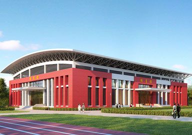High School Steel Space Frame Structure Roof Basketball Stadium Construction