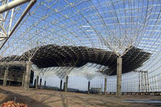 Large-span space frame structure design