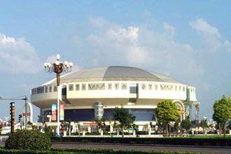 Safety Appraisal of Steel Space Frame Gymnasium Roof
