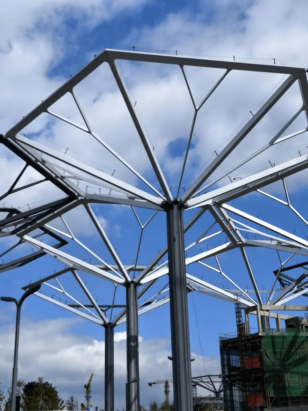 String Steel Structure Steel Structure: Ginkgo